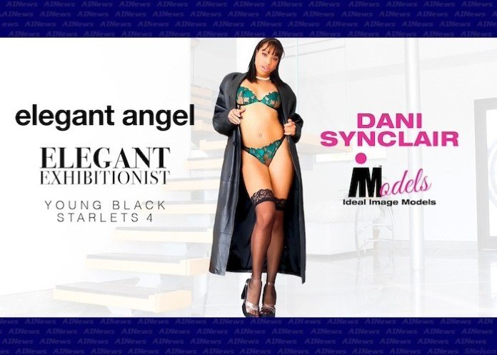 Ideal Image Models’ Talent Dani Synclair Featured on the Cover of Latest Elegant Angel Release