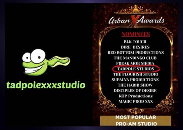 TadpoleXStudio Celebrates 2026 Urban X Awards Nomination